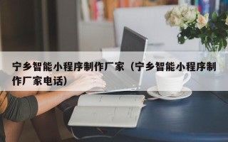 太康宁乡智能小程序制作厂家（宁乡智能小程序制作厂家电话）