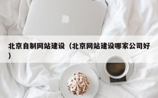 太康北京自制网站建设（北京网站建设哪家公司好）